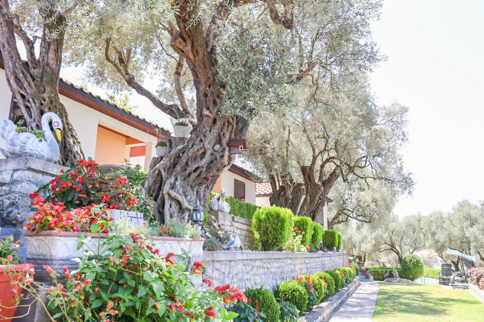 Hilja'S Oliven Garden Bungalows Ulcinj Exterior foto