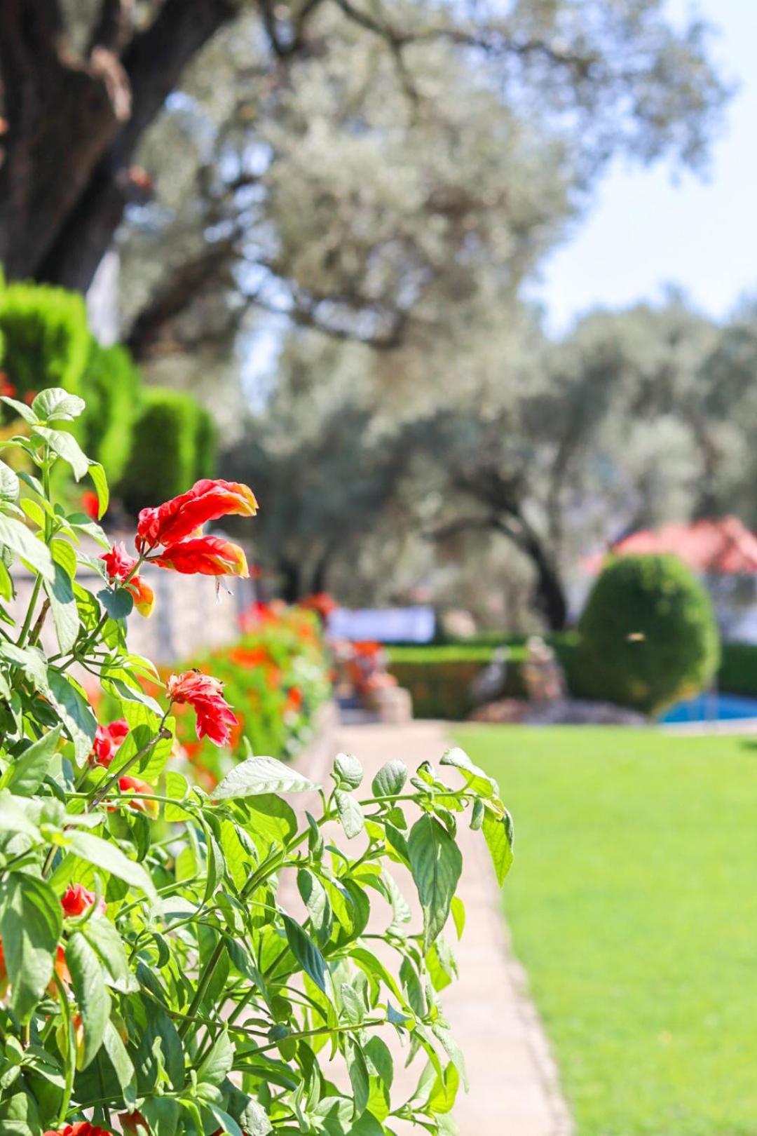 Hilja'S Oliven Garden Bungalows Ulcinj Exterior foto
