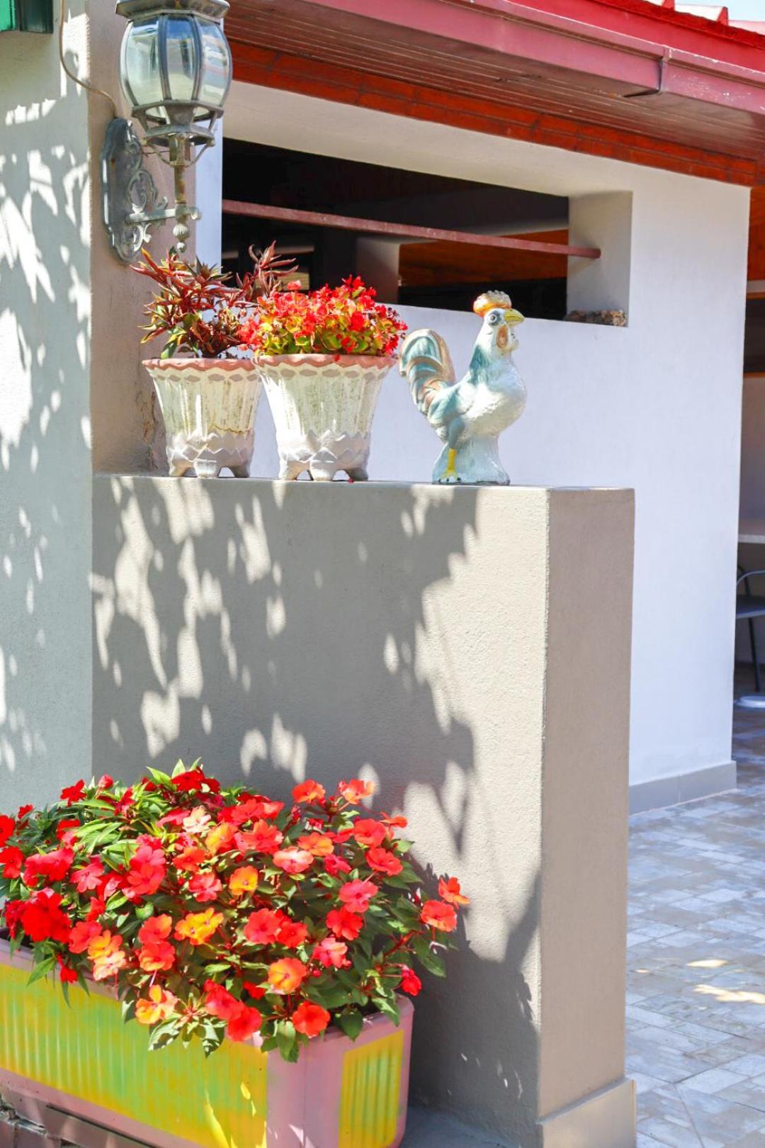 Hilja'S Oliven Garden Bungalows Ulcinj Exterior foto