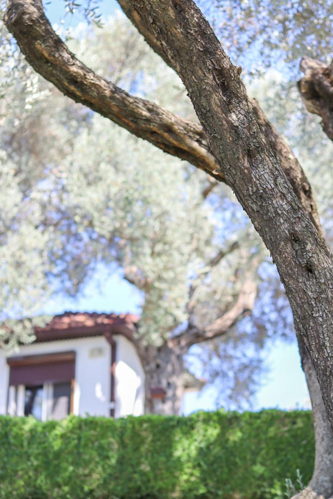Hilja'S Oliven Garden Bungalows Ulcinj Exterior foto