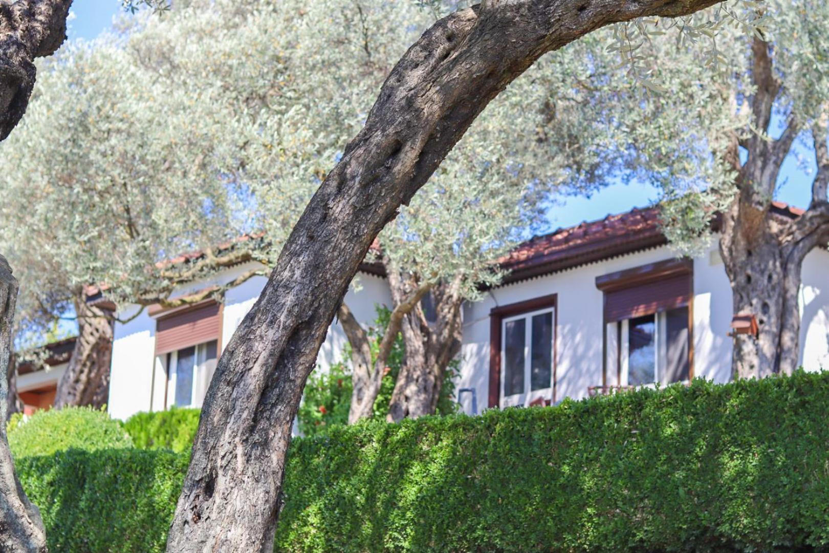 Hilja'S Oliven Garden Bungalows Ulcinj Exterior foto