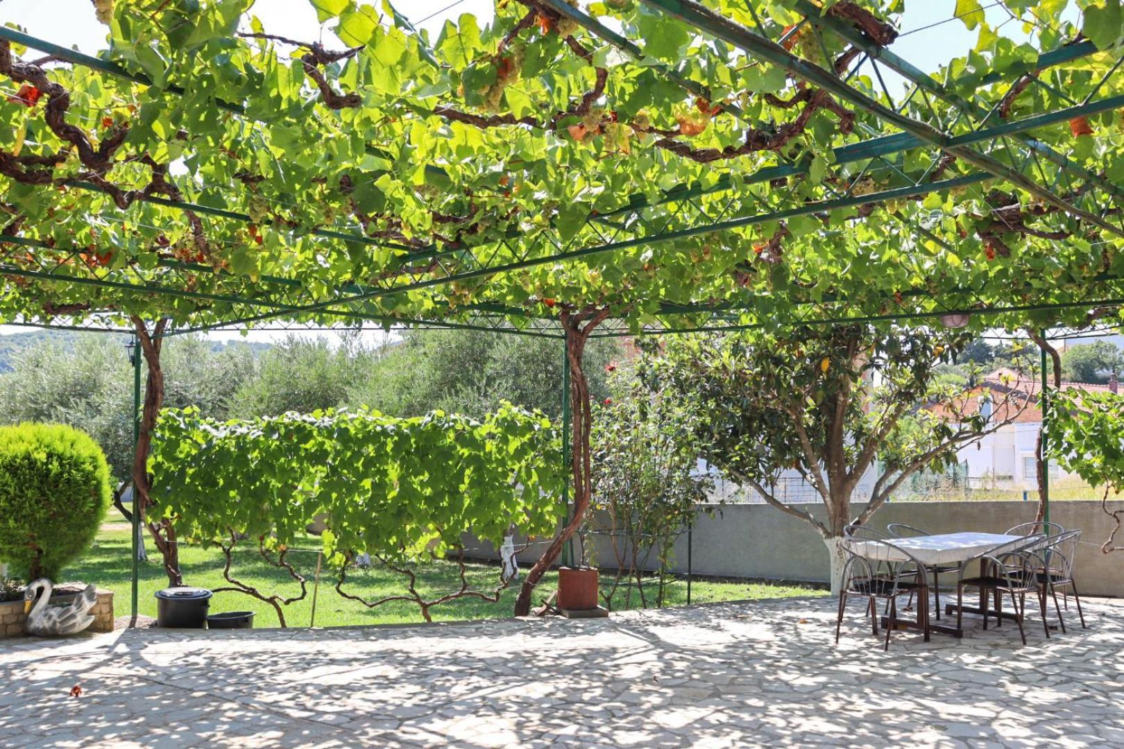Hilja'S Oliven Garden Bungalows Ulcinj Exterior foto